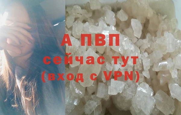 гашик Магадан